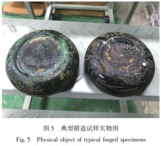 鈦合金粉末冶金β相區熱加工組織行為 鈦合金粉末冶金β相區熱加工組織行為